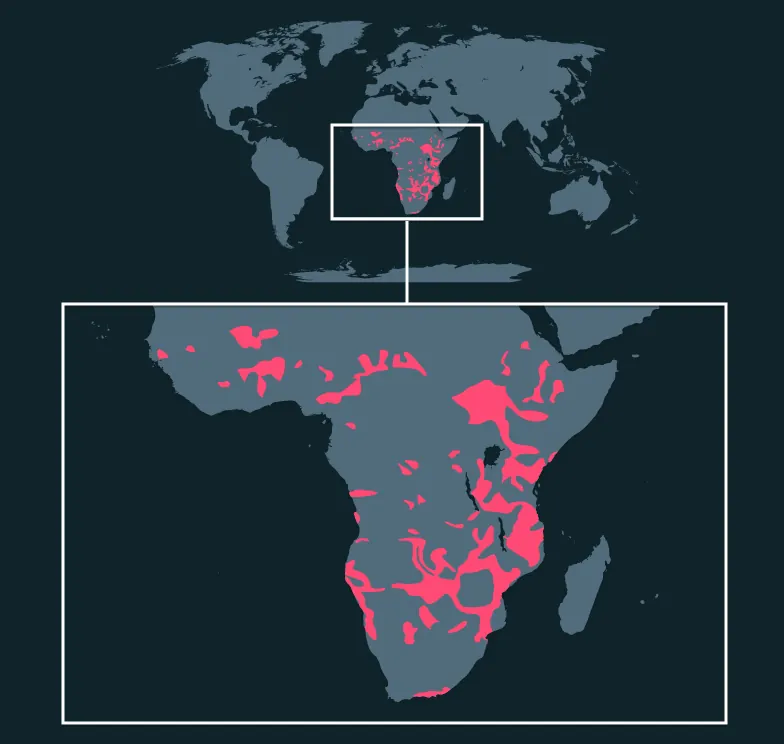 African Savannah Elephant distribution map