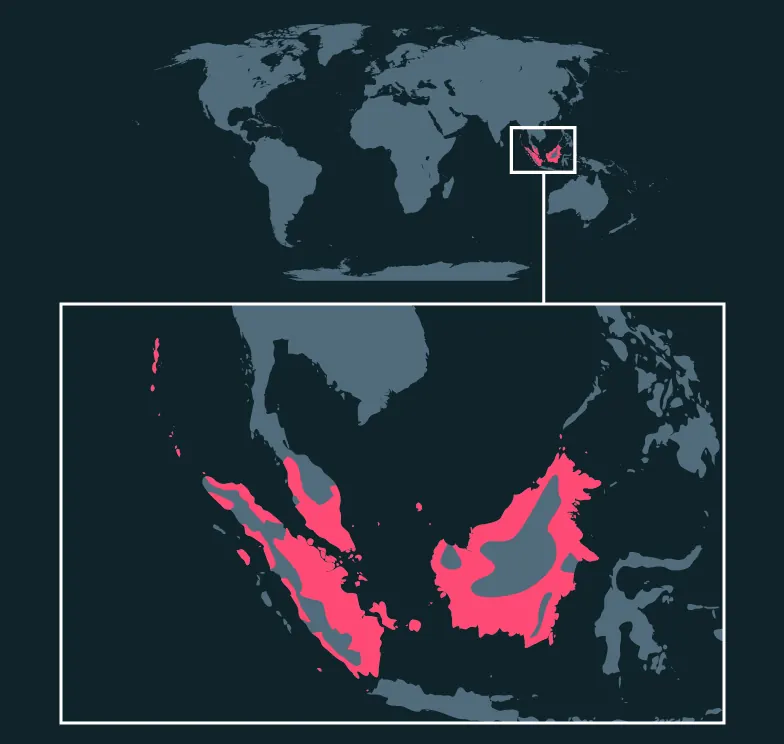 Long-Tailed Parakeet native distribution