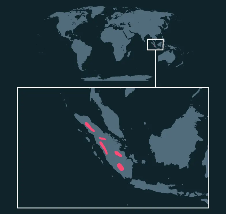 Sumatran Tiger distribution map