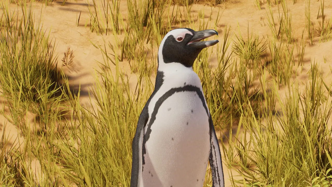 African Penguin in Planet Zoo 2