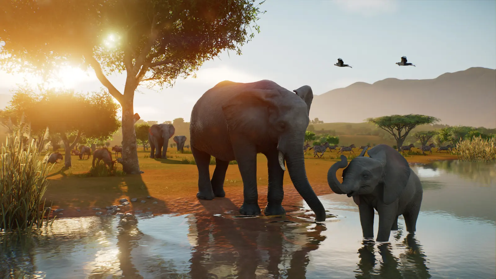 Planet Zoo 2 elephant pair standing in a shared savannah habitat at sunset