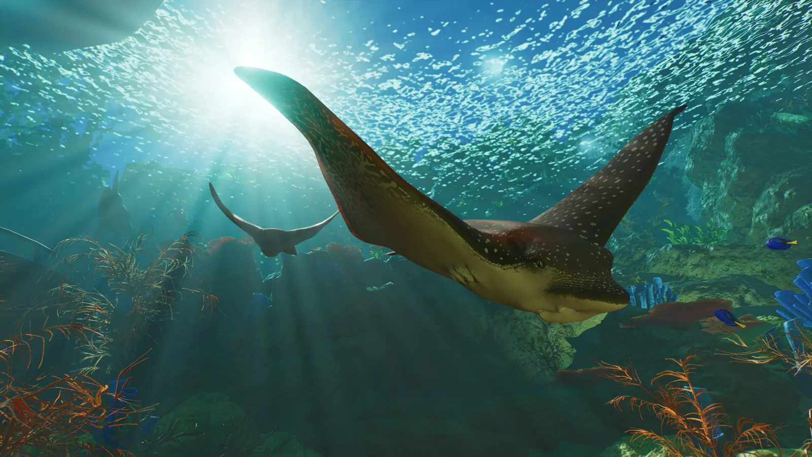 Planet Zoo 2 manta ray over a reef tank with a school of fish