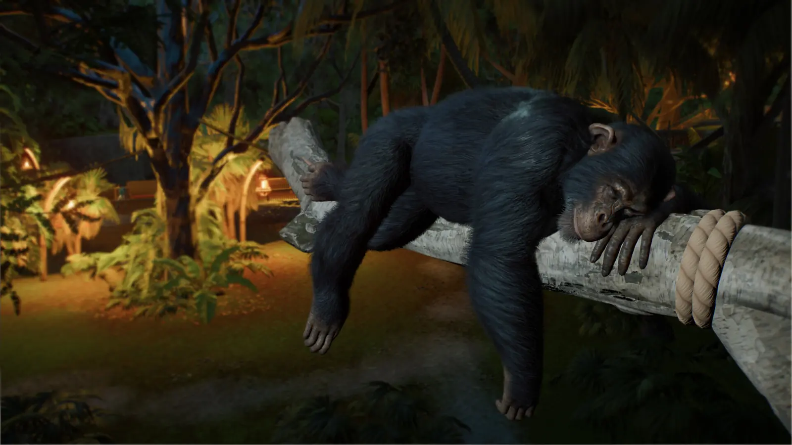 Planet Zoo 2 orangutan in a planted rainforest habitat