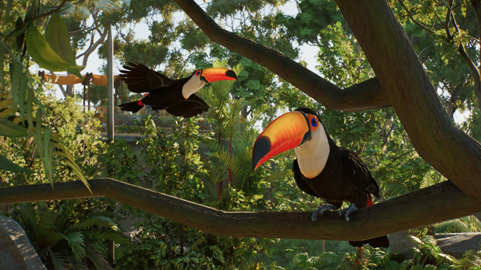 Planet Zoo 2 toucans in a rainforest aviary