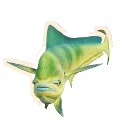 Dolphinfish