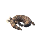Gila Monster