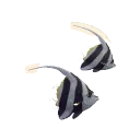 Schooling Bannerfish